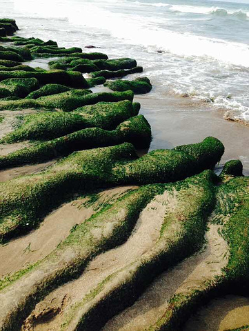 2021希望游客能留在沙滩上观赏就好 不要踩到绿石槽的范围 尤其绿石槽上方滑滑的很容易摔倒 富贵角灯塔 评论 去哪儿攻略