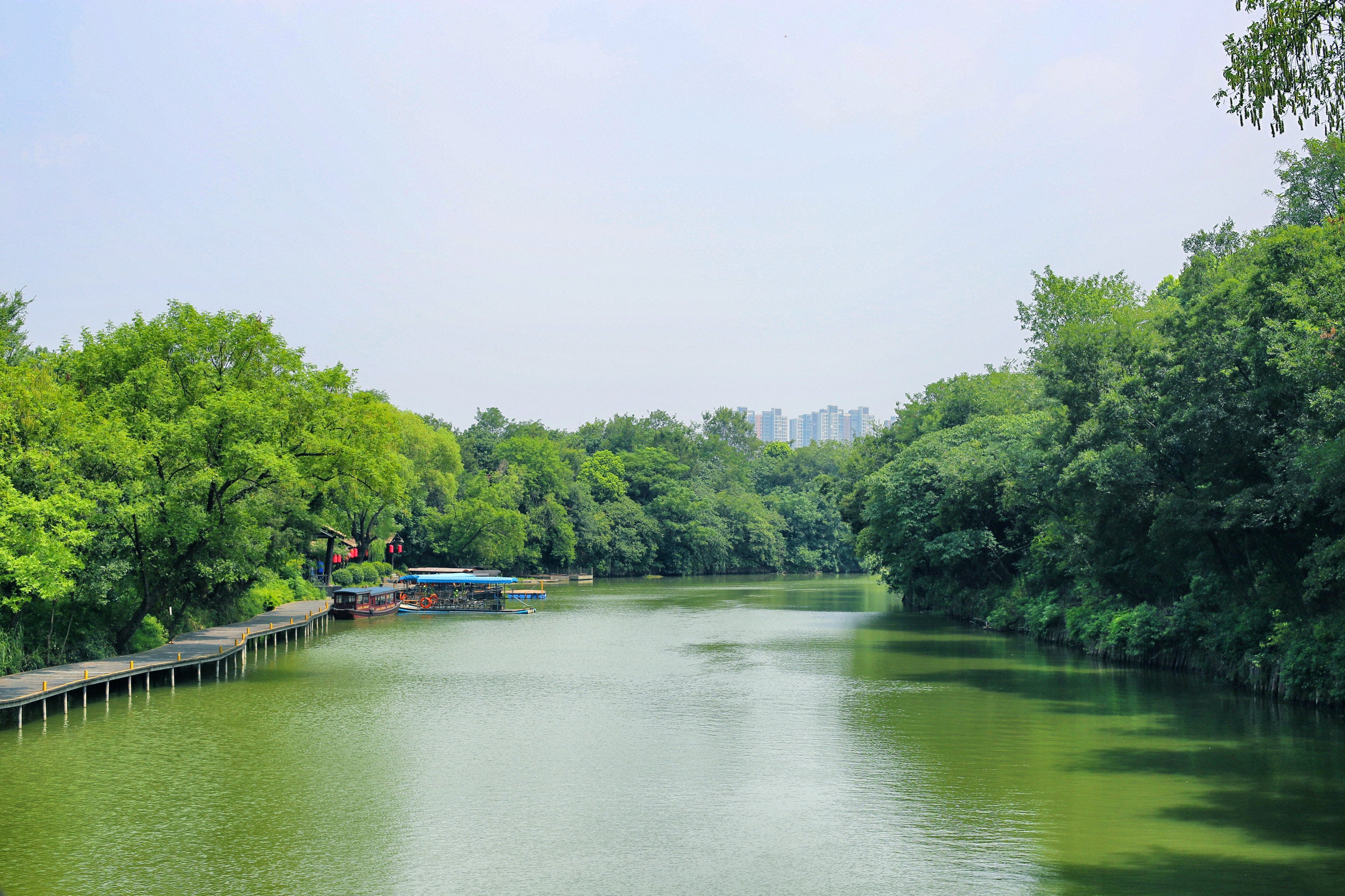 而春秋淹城遗址的子城河里这4500株荷花争相绽放想必定不输当年出水