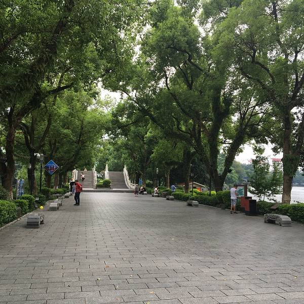 国庆各省旅游收入排行_2018年桂林旅游收入(3)
