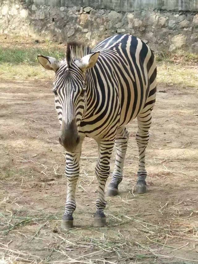 九峰国家森林公园