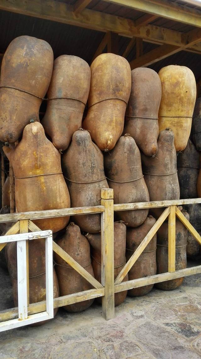 羊皮筏子快艇乘坐码头