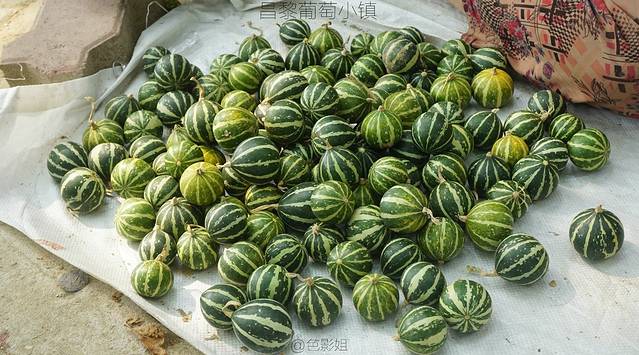 昌黎葡萄沟风景区