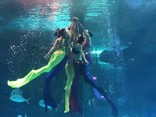 泉城欧乐堡海洋极地世界