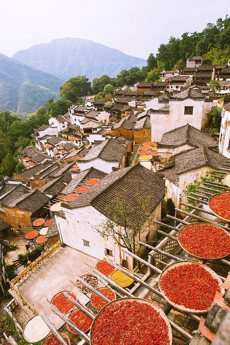 篁岭人家晒秋忙婺源可不止油菜花