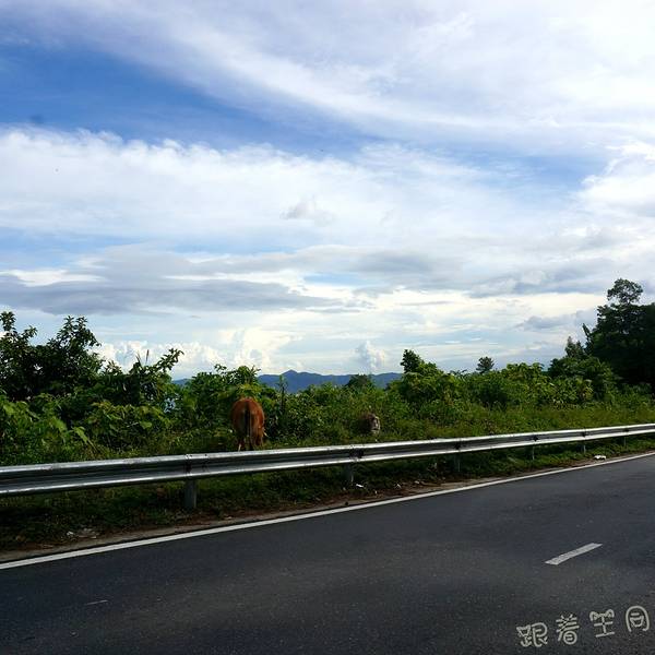 贵州安顺旅游景点_2018年安顺旅游收入(3)