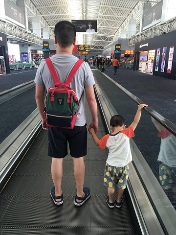 .小杨由于前一天在机场吃了意面,然后又在飞机