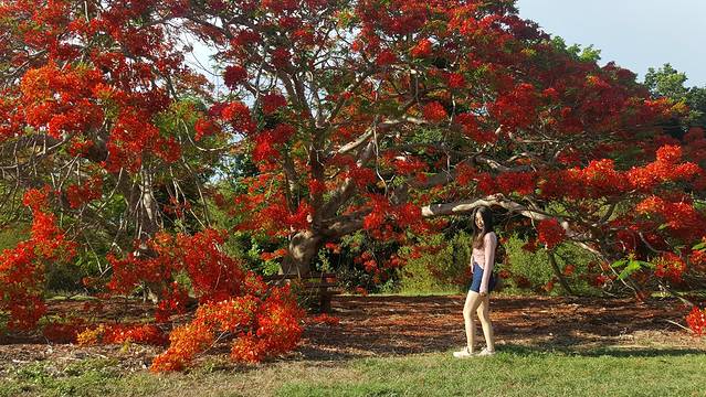 乔治·布朗植物园