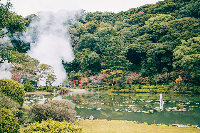 九州大分 日本温泉乡的别样玩法 别府 由步院 高崎山 别府市旅游攻略 游记 去哪儿攻略