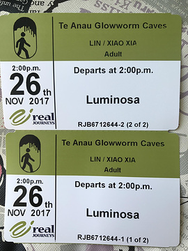 Te Anau Glowworm Caves旅游景点攻略图