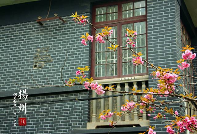 扬州大学(荷花池校区)