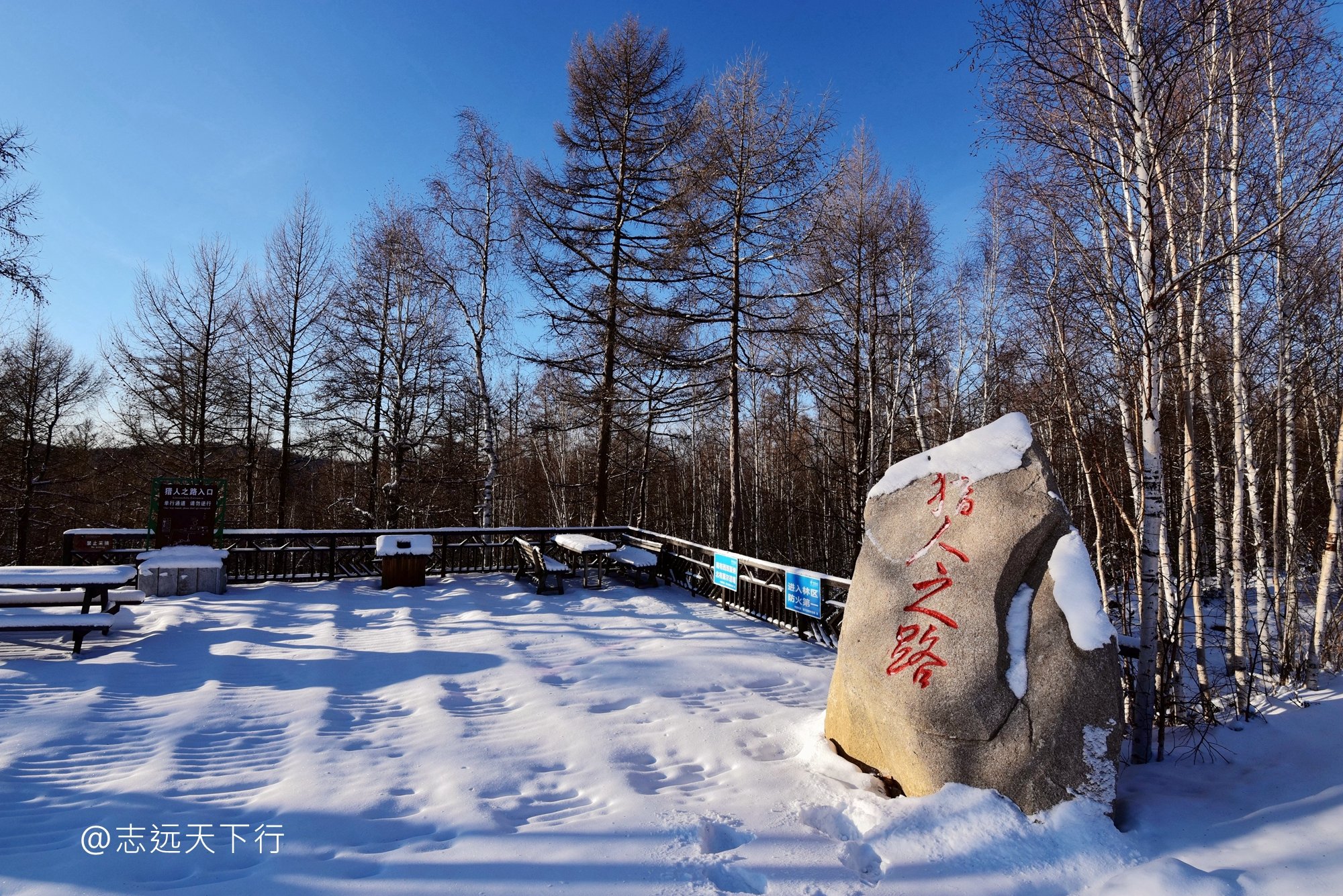 2022莫尔道嘎国家森林公园游玩攻略,不过冬季由于大雪封山,景区.