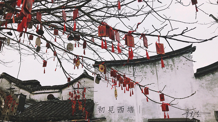 不过同事之前拍照过硬,所以给我拍了一些很不错的自拍