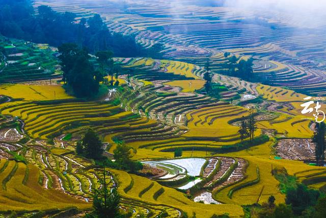 元阳哈尼梯田