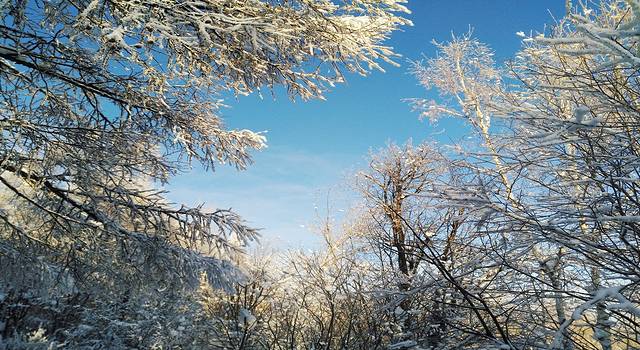 北行呼伦贝尔,看皑皑白雪间