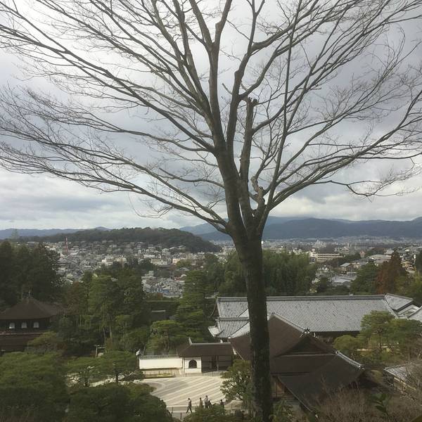 2019银阁寺门票,京都银阁寺游玩攻略,银阁寺游