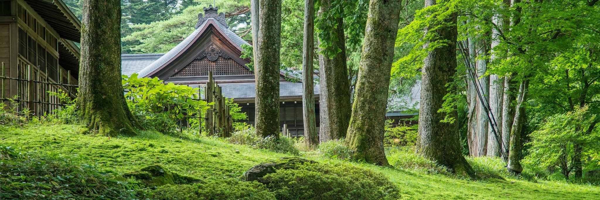 茨城縣旅遊攻略