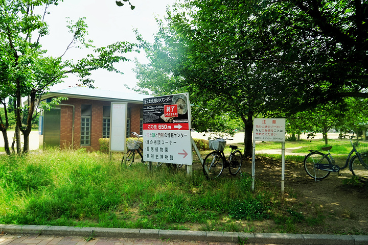 荐:植物园和大阪市立自然史博物馆都在长居公