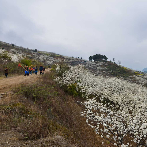 叙永县水潦彝族乡