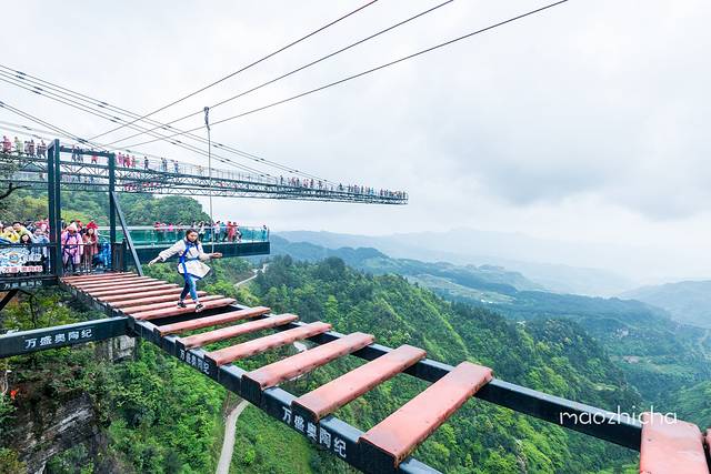 梦幻奥陶纪景区