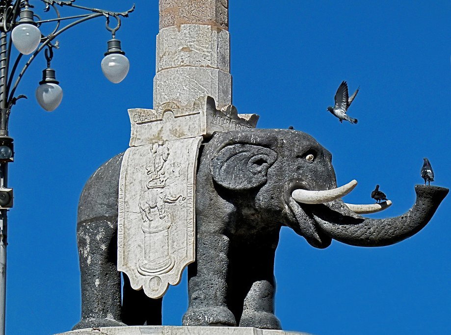 中提到的 大象喷泉 攻略