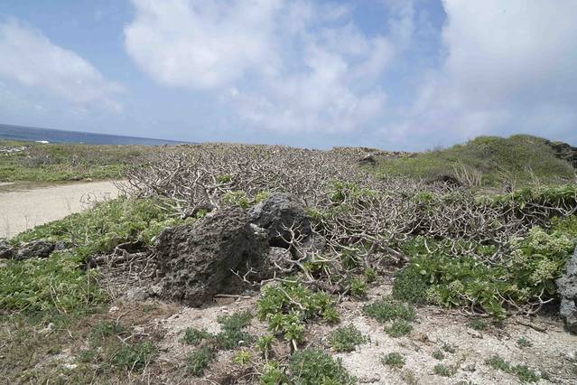 龙坑生态保护区