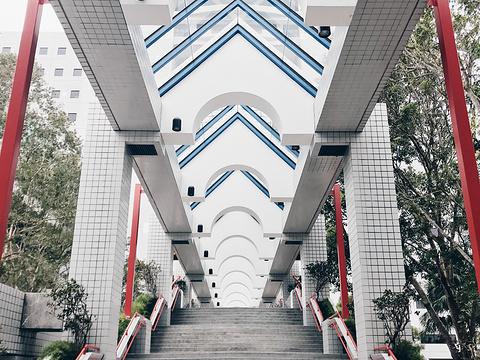 香港科技大学旅游景点图片