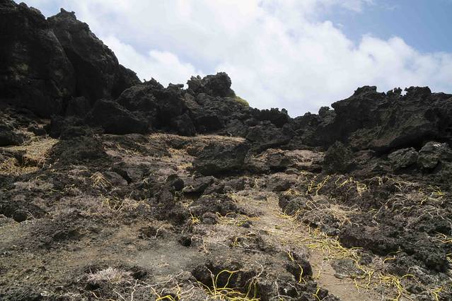 龙坑生态保护区