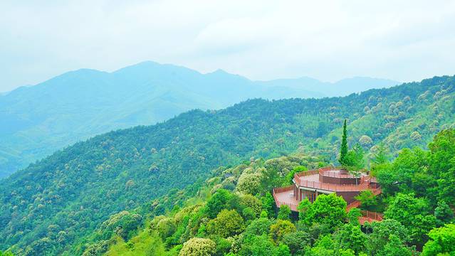 大余丫山旅游度假区