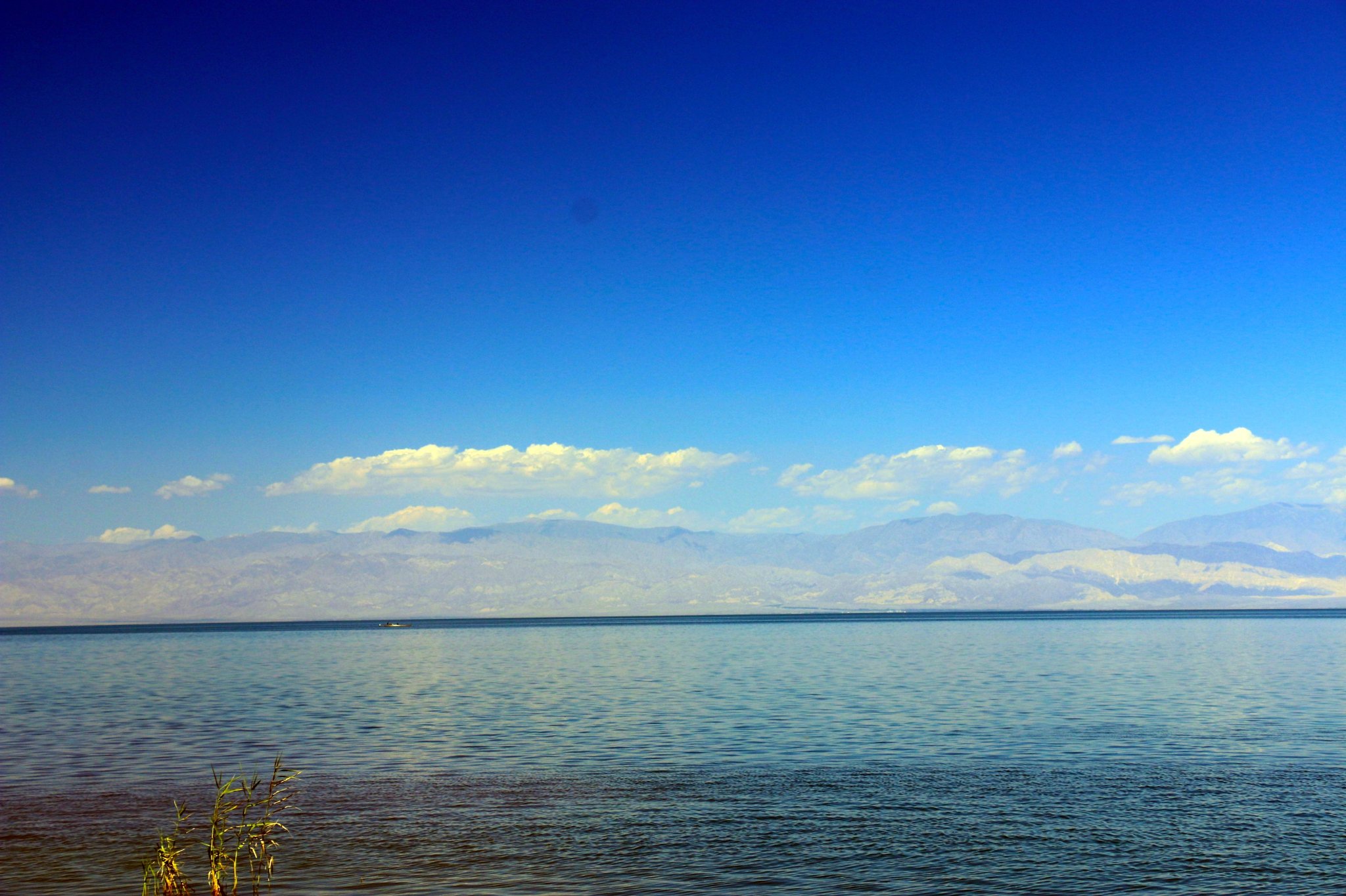 2022博斯腾湖游玩攻略,新疆的当地人非常友善.一边.【去哪儿攻略】