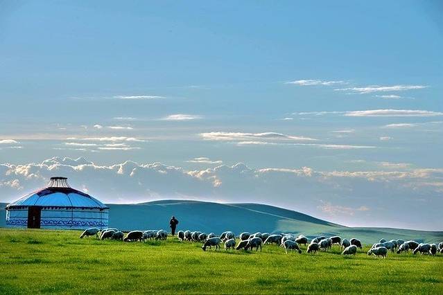 呼伦贝尔大草原省钱高配深度游,塑料姐妹花和