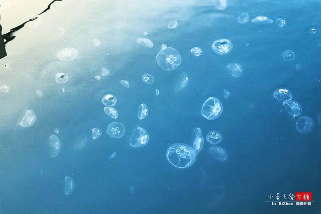 日照奥林匹克水上运动公园