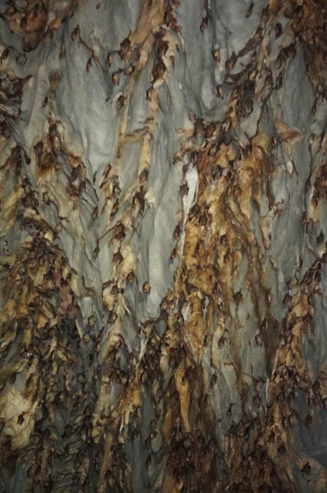 普林塞萨港地下河国家公园