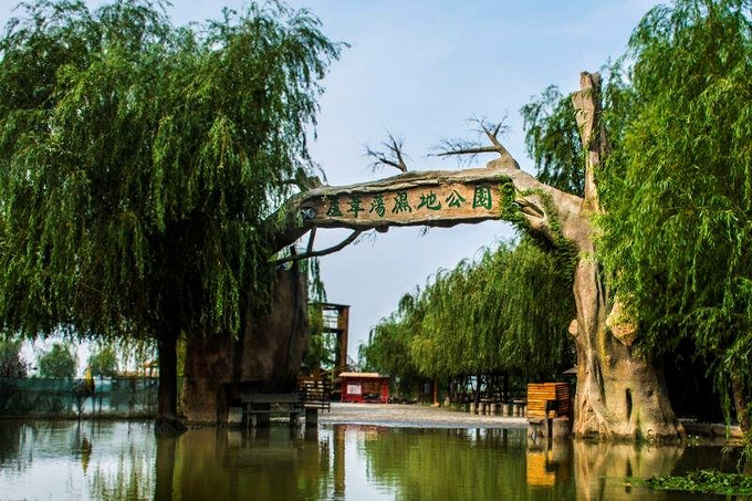 高邮湖芦苇荡湿地公园图片