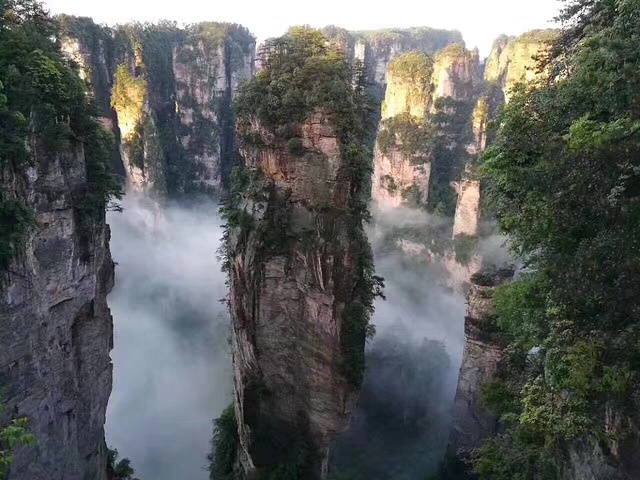 2024因为从张家界市区去这两个门票站最为方便。在任何一个门票站买票都可以进入景区。不过心情还是超级好的_张家界国家森林公园-评论-去哪儿攻略