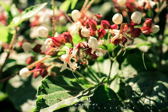 #三伏天,去海边#中国最好玩儿的优质海岛,美丽