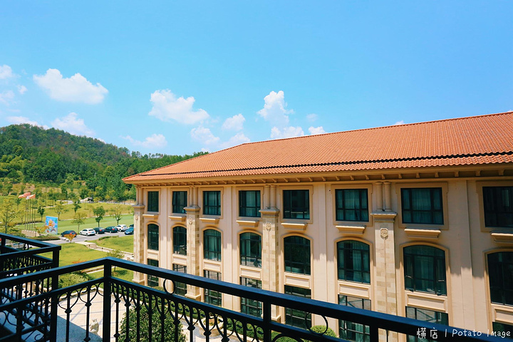 东阳龙景雷迪森庄园