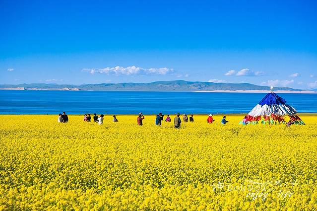 青海湖景区