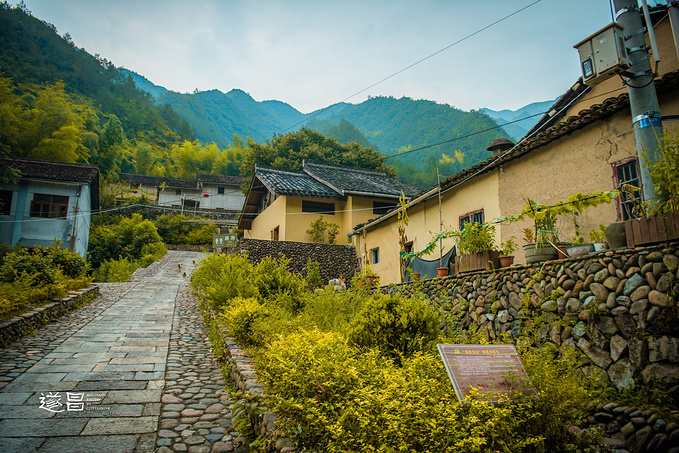 坐看仙境山云涌动，造访红色文化古镇丨遂昌3日休闲游-遂昌旅游攻略-游记-去哪儿攻略