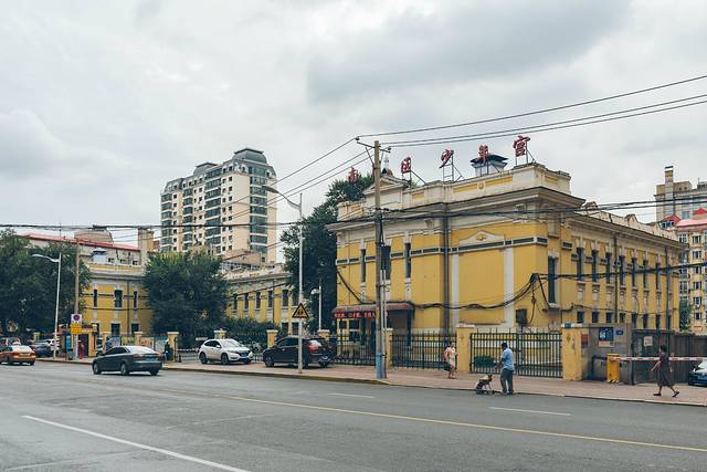 在大森林里的小夏天找到我的小确幸