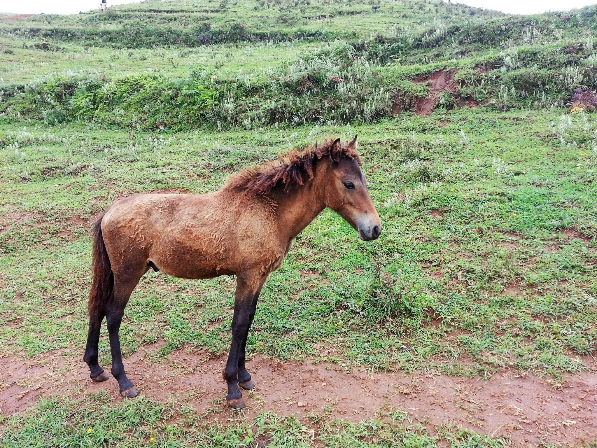 本来原定的计划是下午到达马岭河峡谷游览结果到了兴