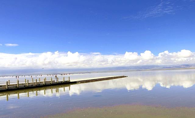 只因在人群中匆匆看了你一眼~