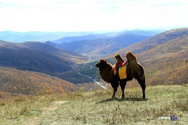 黄岗梁国家森林公园