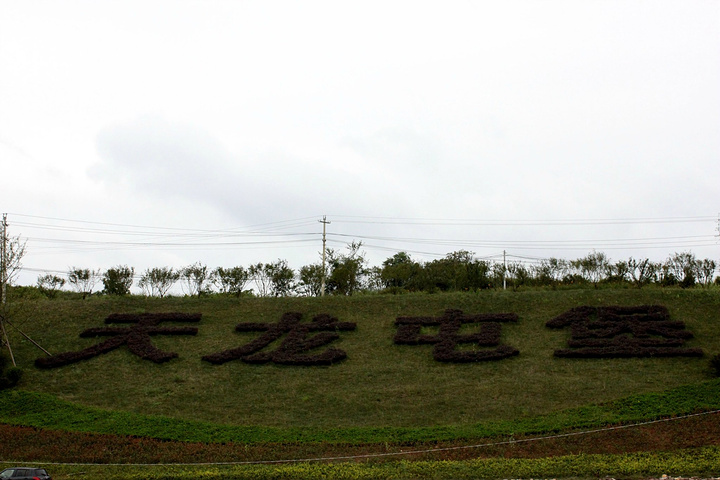 今天不是节假日,也过了暑假,街上游人很少。但