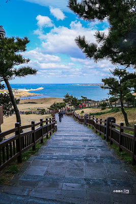 济州岛生态徒步游-2025济州岛旅游榜单-济州岛必体验-自助游攻略-去哪儿攻略