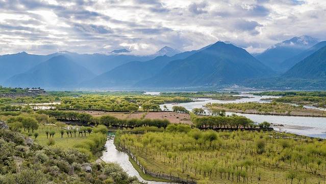 尼洋河风光带景区