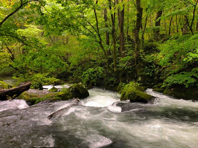 奥入濑溪流