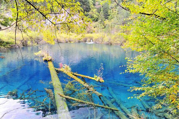 九寨沟-则查洼沟