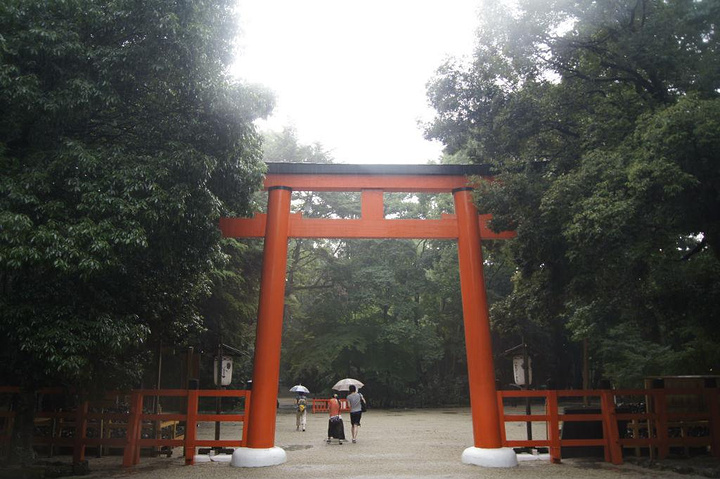 "下鸭神社境内的森林就是“纠之森”。赤尾照文堂、石川古本店、藤井文政堂……连旧书店的名称都十分雅致_纠之森"的评论图片