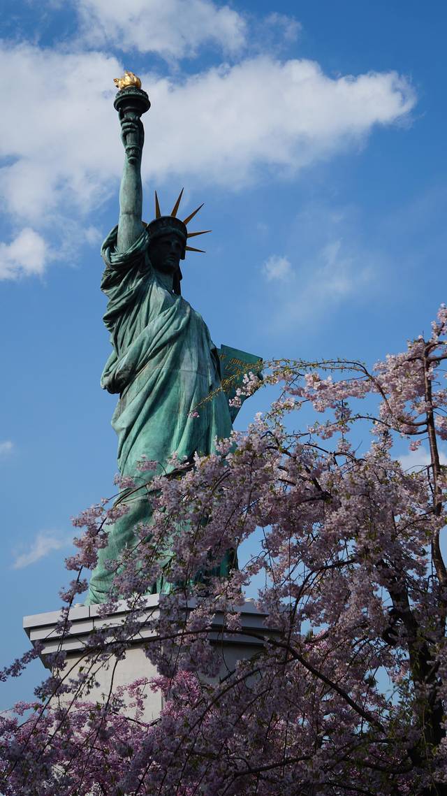 浪漫四月樱花现,动漫天堂秋叶原。