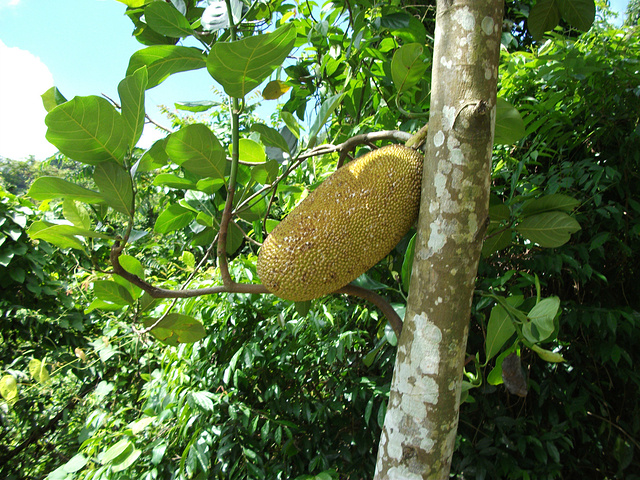 超重的楼主和胆小的133不能坐滑索,只能步行,